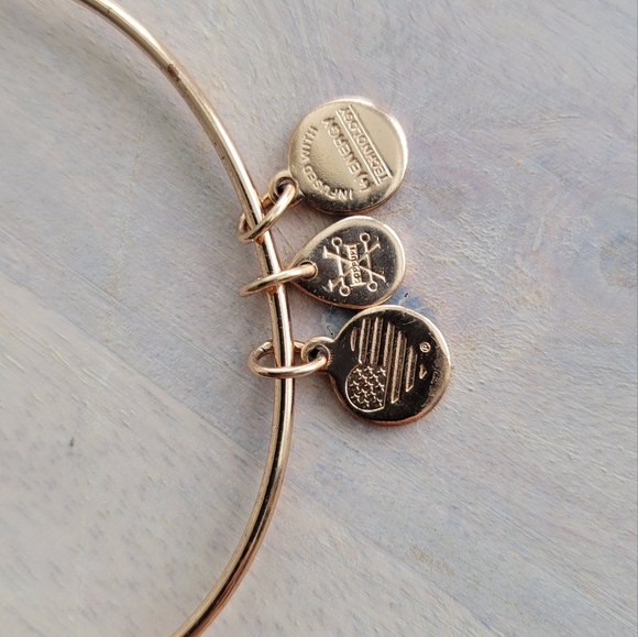 Rose Gold and Black Alex and Ani Bangle - Picture 3 of 3